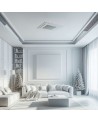 Aire acondicionado de Techo Daikin ACAS100B